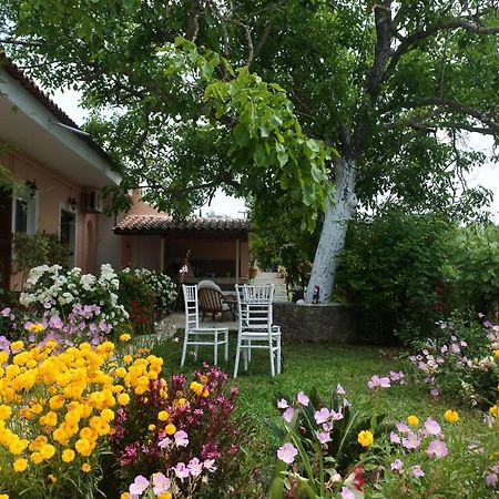 Mina'S Serene Garden House Kontokali Exteriér fotografie